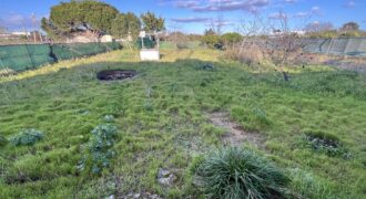VV476 Campo con vivienda