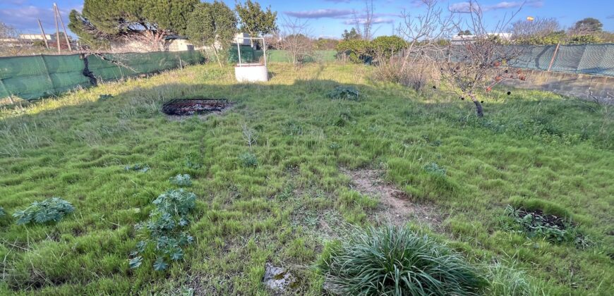 VV476 Campo con vivienda