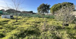 VV476 Campo con vivienda
