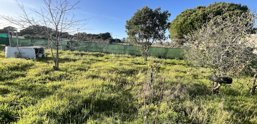 VV476 Campo con vivienda